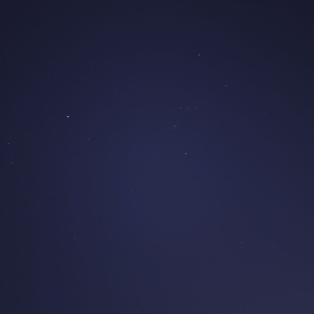 February Nights