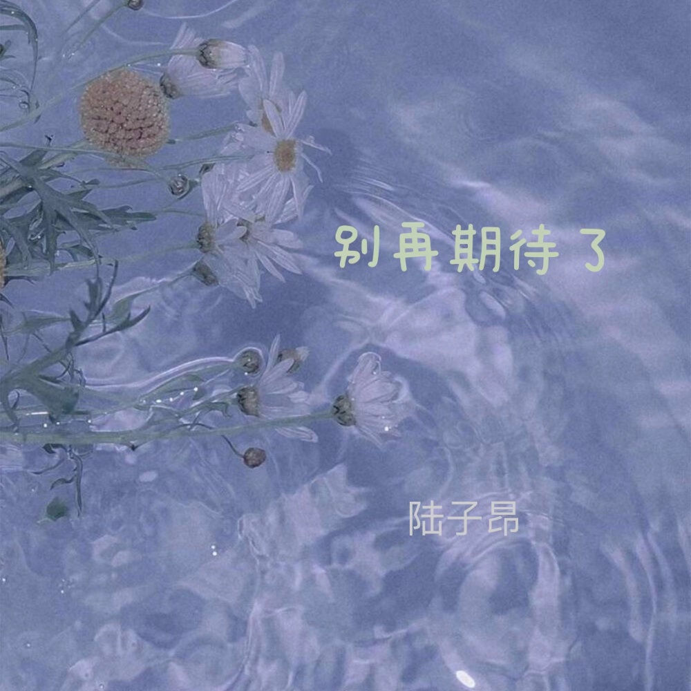 别再期待了