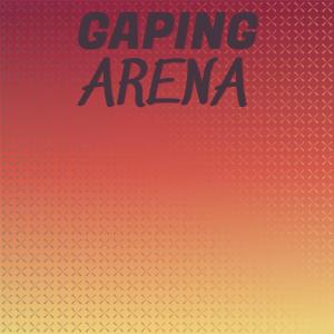 Various的专辑Gaping Arena