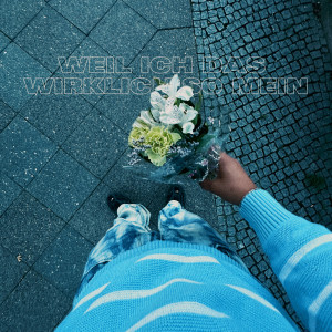 Listen to weil ich das wirklich so mein song with lyrics from Ben61