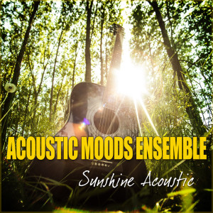 Listen to Cavatina song with lyrics from Acoustic Moods Ensemble