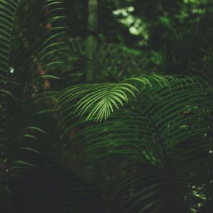 Dengarkan Yoga lagu dari SPA dengan lirik