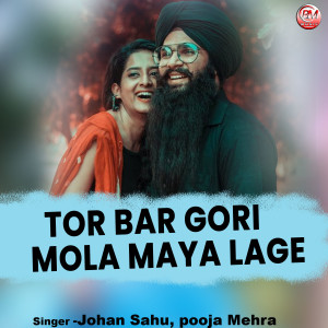 Listen to Tor Bar Gori Mola Maya Lage song with lyrics from Johan Sahu