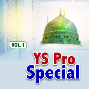 Album Ys Pro Special, Vol. 1 from Various