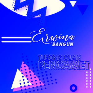 Listen to Tubing Cuan Pencamet song with lyrics from Erwina Bangun