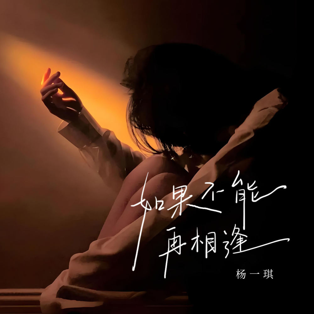 如果不能再相逢