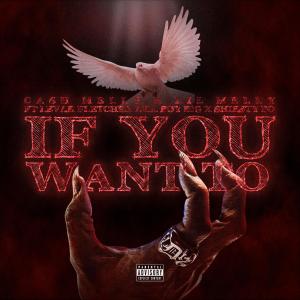 收聽Cash Melly的If You Want To (feat. Levar Fletcher Aka Boy Big & Sheisty Po) (Explicit)歌詞歌曲