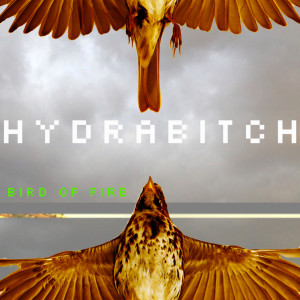 收聽HYDRABITCH的Bird of Fire歌詞歌曲