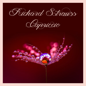 Album Richard strauss: capriccio oleh Eberhard Wächter