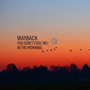 Album You Don't Fool Me from 