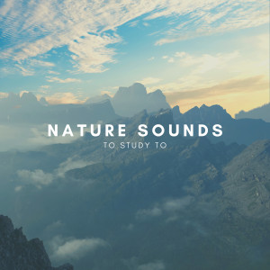 Natural Sounds的專輯Nature Sounds To Study To