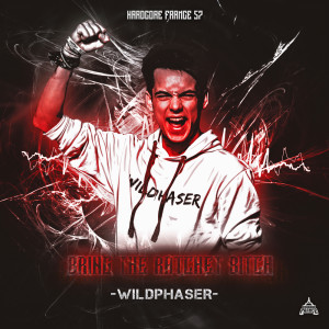 Listen to The Ratchet Bitch (Explicit) song with lyrics from WILDPHASER