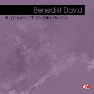 ดาวน์โหลดและฟังเพลง No. 19 Ave Maria พร้อมเนื้อเพลงจาก Benedikt David