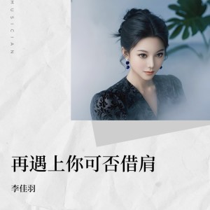 Album 再遇上可否借肩（DJSrue粤语版） from 李佳羽