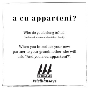 Listen to A cu apparteni? (Freestyle) song with lyrics from Shakalab
