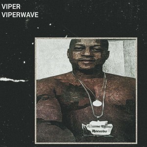อัลบัม Viperwave ศิลปิน Viper