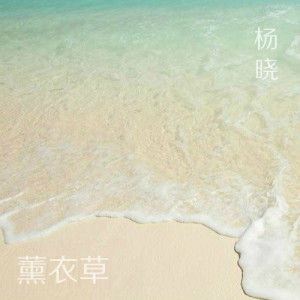 Listen to 薰衣草 song with lyrics from 杨晓