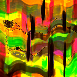 Listen to Sweet song with lyrics from Sumomo