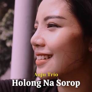 Anju Trio的專輯Holong Na Sorop