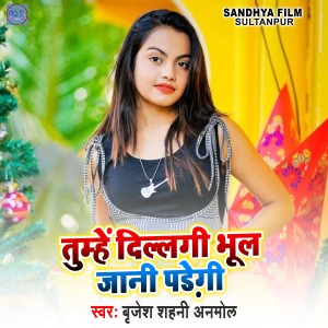 Listen to Tumhe Dillagi Bhul Jani Padegi song with lyrics from Brijesh Shahni Anmol