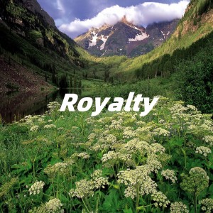 Mtyg的专辑Royalty