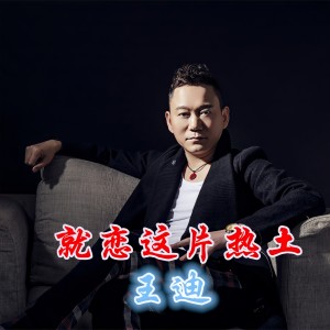收聽王迪（內地歌手）的就戀這片熱土歌詞歌曲