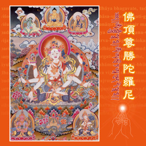 收聽羣星的尊勝佛母讚歌詞歌曲