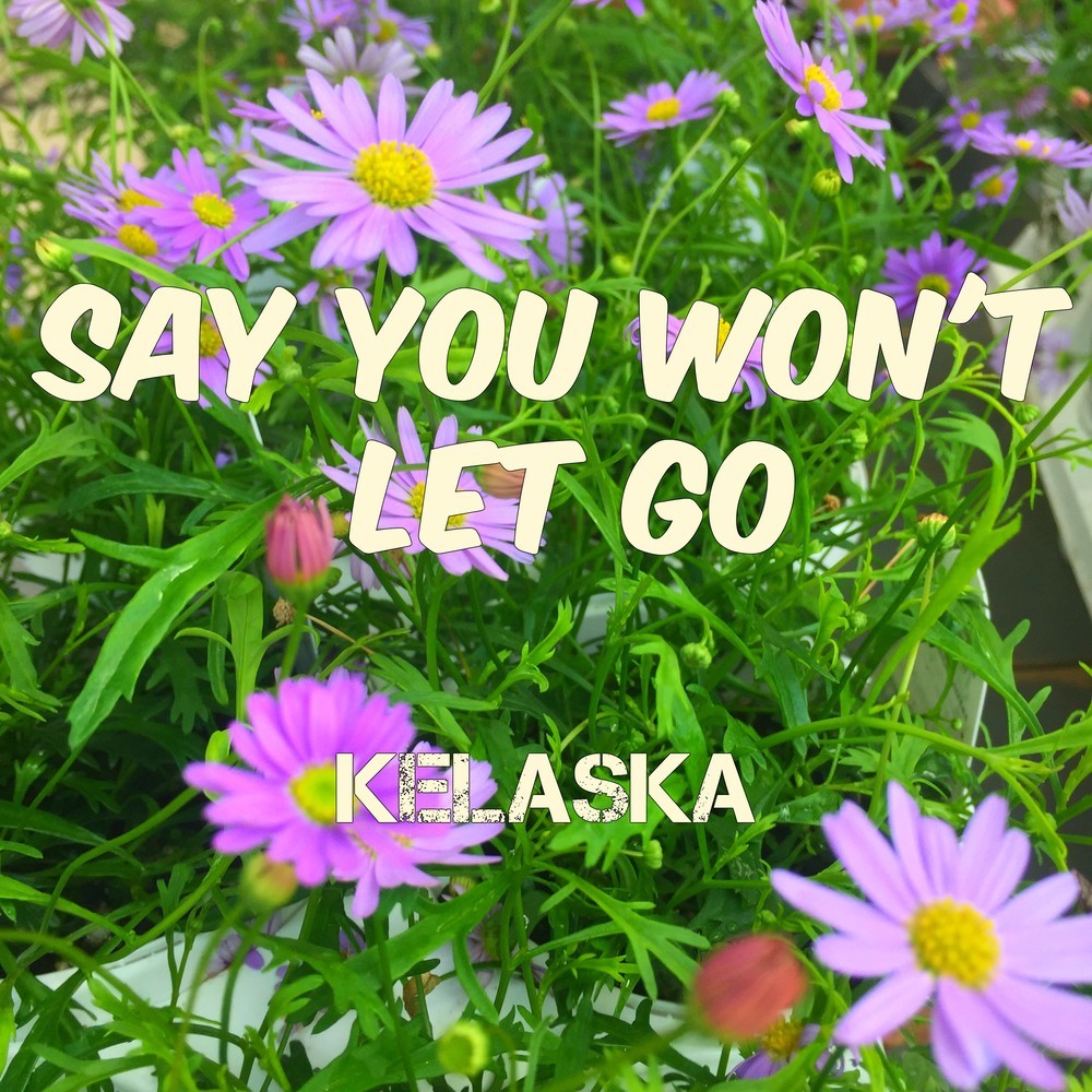 Say You Won't Let Go