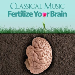 收聽Mayfair Philharmonic Orchestra的Zwei Konzertetüden, S. 145: I. Waldesrauschen歌詞歌曲