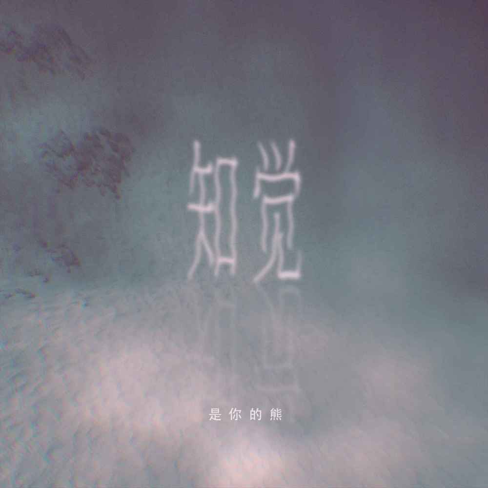 知觉 (伴奏)