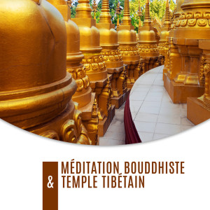 ดาวน์โหลดและฟังเพลง Spiritualité พร้อมเนื้อเพลงจาก Zen méditation tibétaine