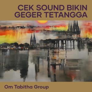 Album Cek Sound Bikin Geger Tetangga oleh Om tabitha group