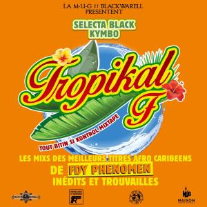 ดาวน์โหลดและฟังเพลง Une dernière balle pour être sûr (feat. Nèg'Marrons) (Selecta Black Kymbo Edit) (Explicit) พร้อมเนื้อเพลงจาก Fdy Phenomen