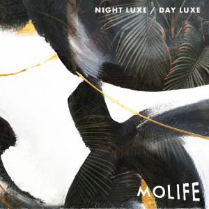 收听Molife的Night Luxe歌词歌曲