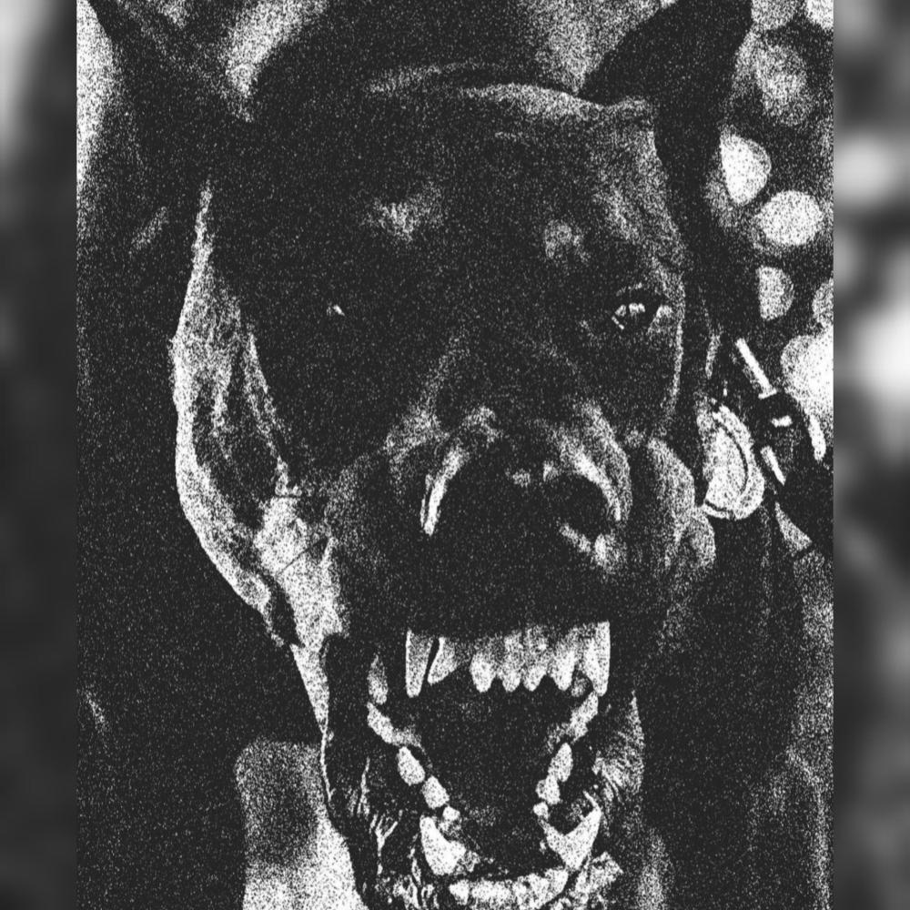 Flava In Ya Ear (Explicit)