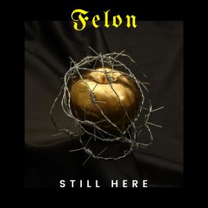 ดาวน์โหลดและฟังเพลง Still Here (Explicit) พร้อมเนื้อเพลงจาก Felon