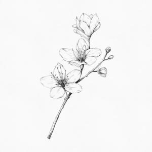 prodbycrusty的專輯Magnolia Freestyle (Explicit)