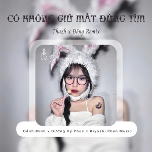 Cảnh Minh的專輯Có Không Giữ Mất Đừng Tìm (Thazh x Đông Remix)