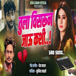 收聽Deva Kadam的Tula Visarun Jau Kashi歌詞歌曲