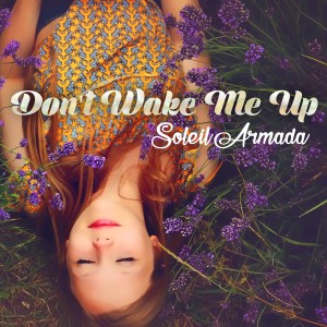 ดาวน์โหลดและฟังเพลง Don't Wake Me Up (Vocal Lounge Radio Mix) พร้อมเนื้อเพลงจาก Soleil Armada