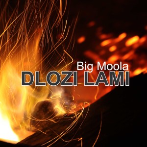ดาวน์โหลดและฟังเพลง Dlozi Lami พร้อมเนื้อเพลงจาก Big Moola