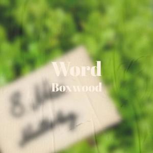 Listen to Word Boxwood song with lyrics from Jarl Topo