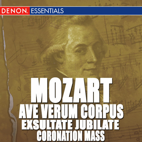 Exsultate, Jubilate: Motet in F Major, KV. 165: Exsultate, Jubilate: Allegro