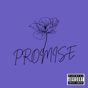 A-swxg的專輯Promise