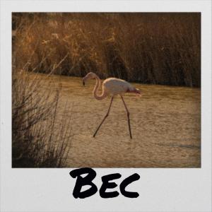 ดาวน์โหลดและฟังเพลง Bec พร้อมเนื้อเพลงจาก Otty Taro