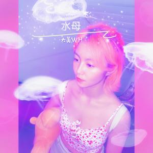 收聽大美WH的水母歌詞歌曲