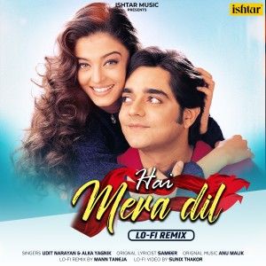 Album Hai Mera Dil (Lo-Fi Remix) from Udit Narayan
