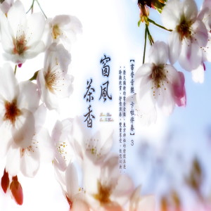 蔡志展的专辑书香音乐·卡啦伴奏系列 (3): 窗风·茶香