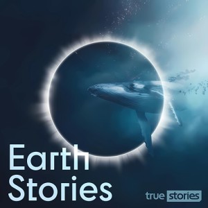 Album Earth Stories from Andy Hopkins