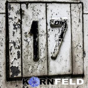 Listen to 17 (Radio Version) song with lyrics from Kornfeld